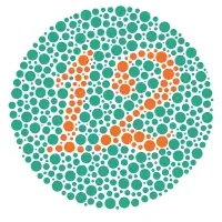 Ishihara test example